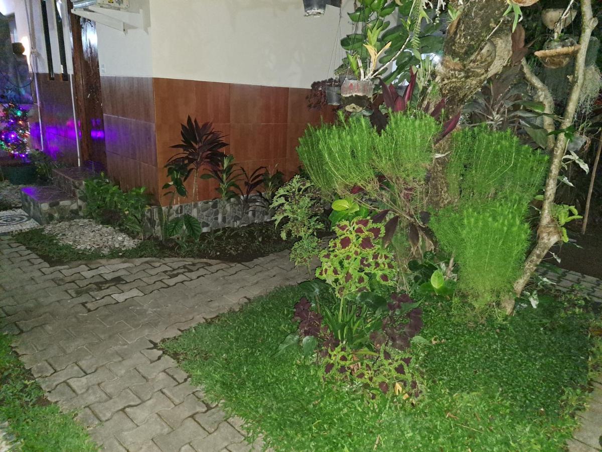 Ascarya Guest House サヌール エクステリア 写真
