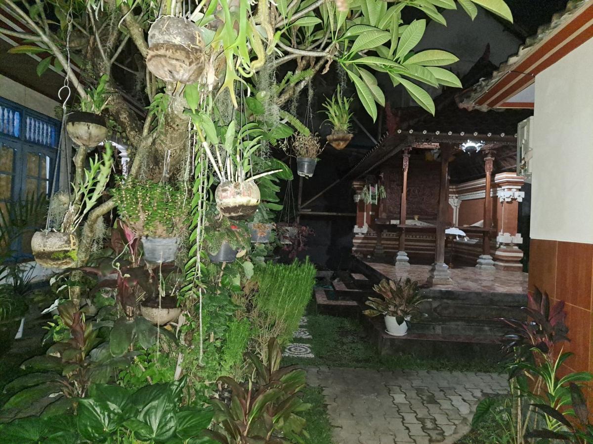 Ascarya Guest House サヌール エクステリア 写真